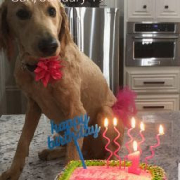 Meet your Posher, J. - Picture 1 of 1